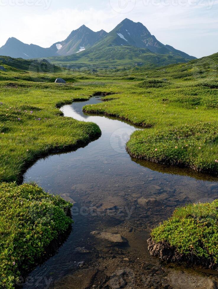 Scenic mountain landscape with a winding stream flowing through a lush green meadow photo
