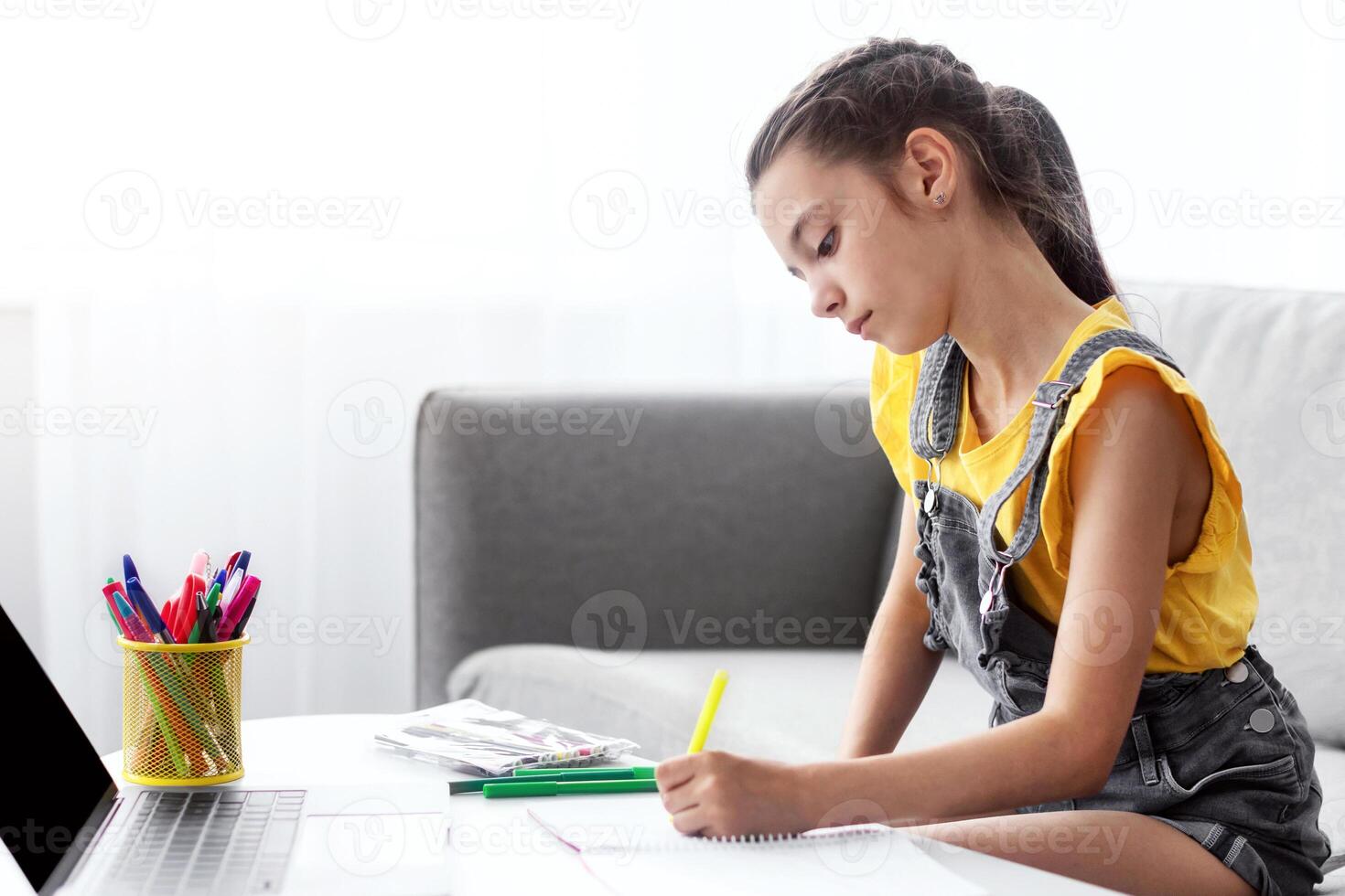 Profile side view portrait of focused girl sitting on couch at table using laptop with blank empty screen, writing essay or making test, taking notes in textbook, doing homework, free copy space photo