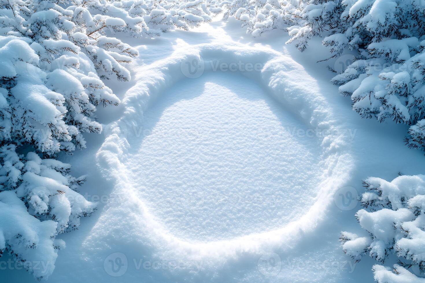 Winter Wonderland Pristine Snow Circle in Frosted Forest Landscape photo