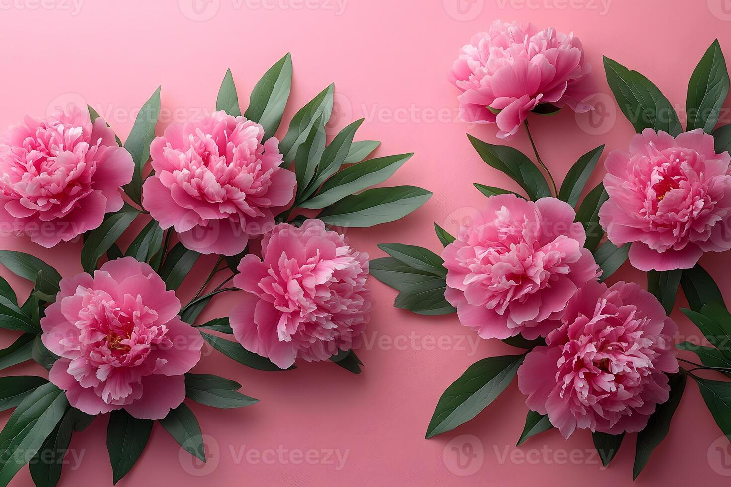 Pink Peony Floral Arrangement on Pink Background for Decorative Design and Aesthetics photo