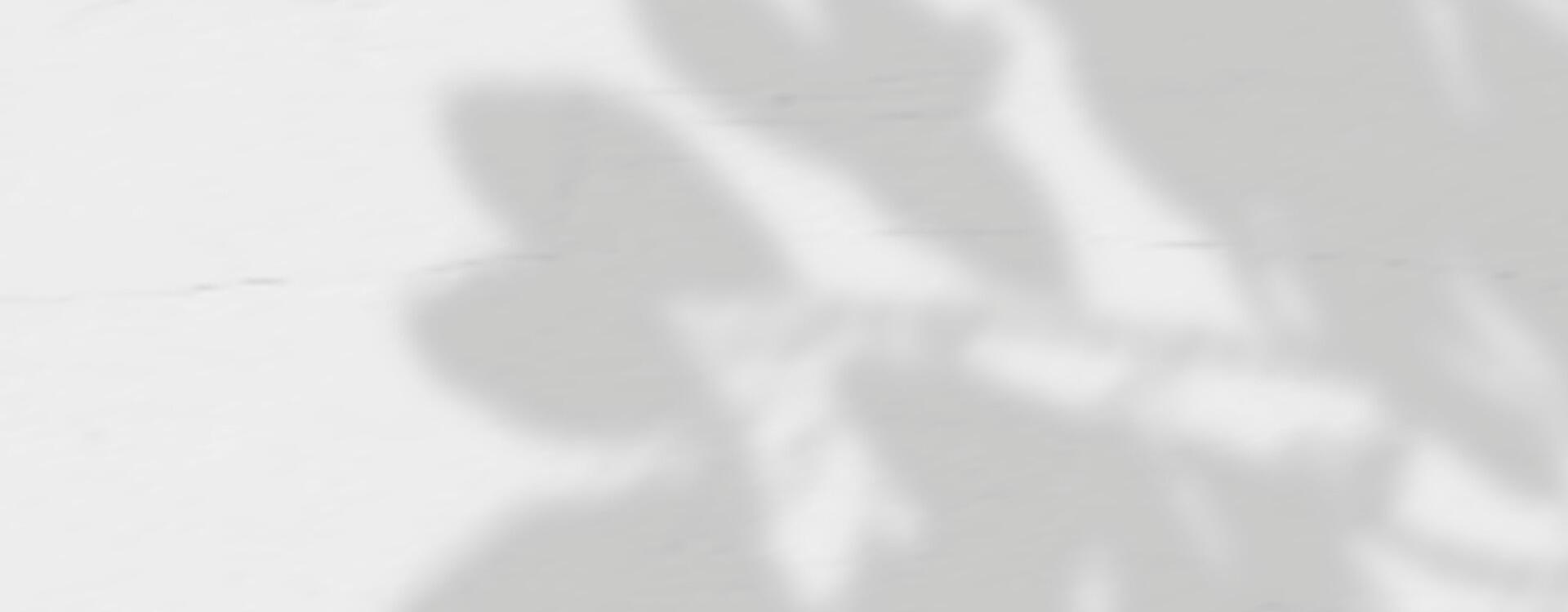 A shadow of a plant on a wall vector