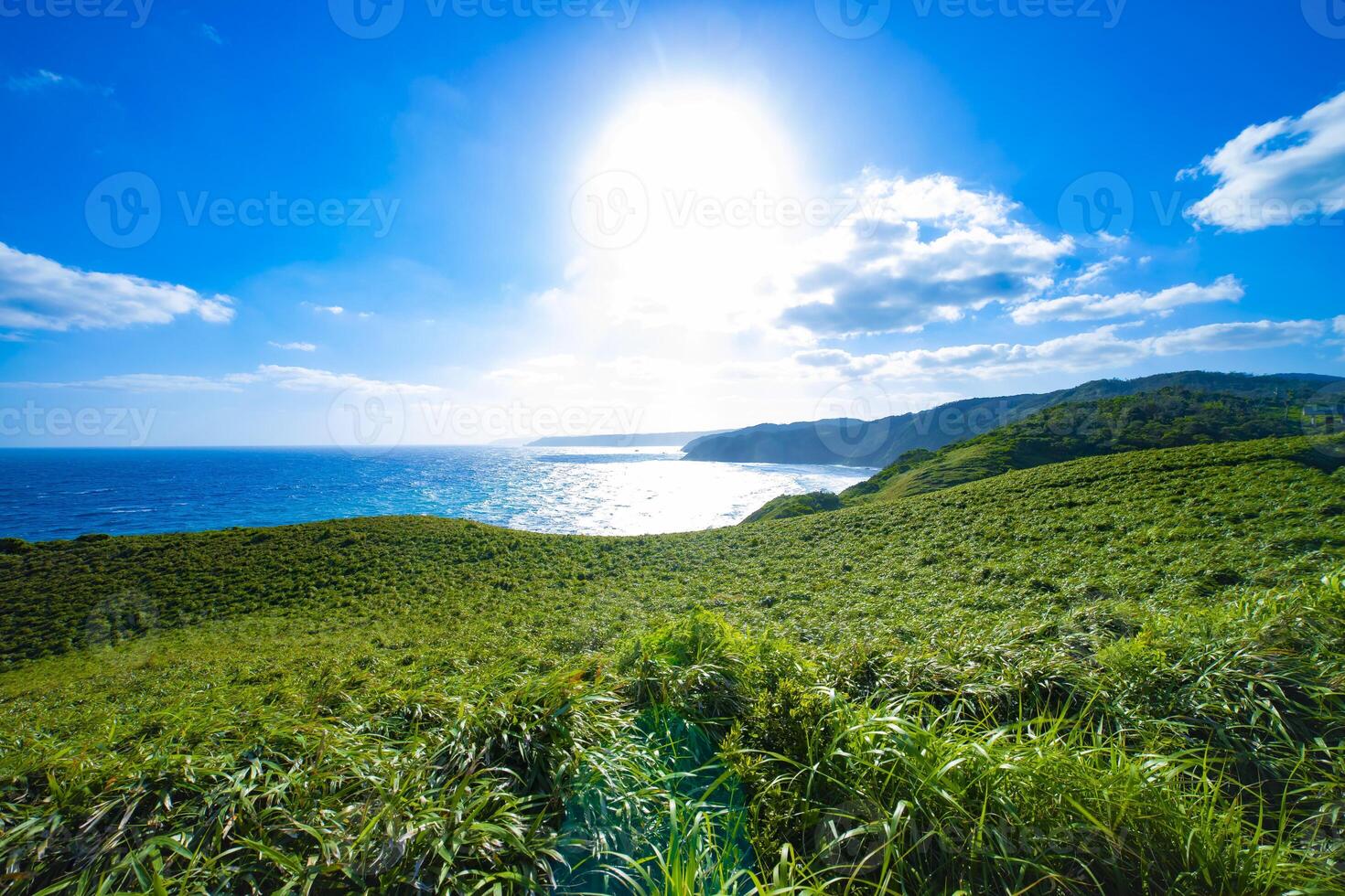Miyakozaki promontory near the blue ocean in Amami oshima Kagoshima photo