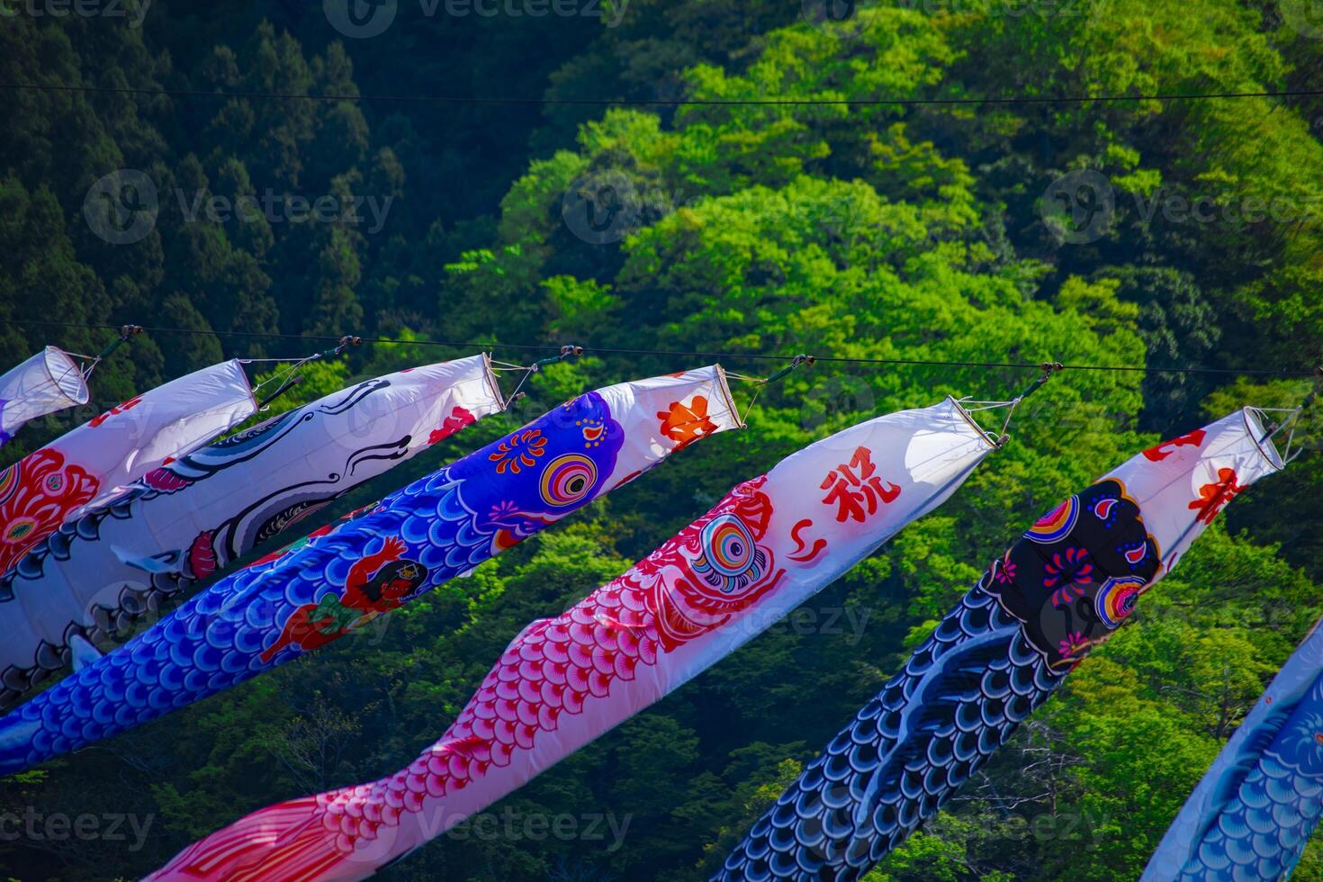 Carp streamers at Ryujin big bridge in Ibaraki daytime sunny photo