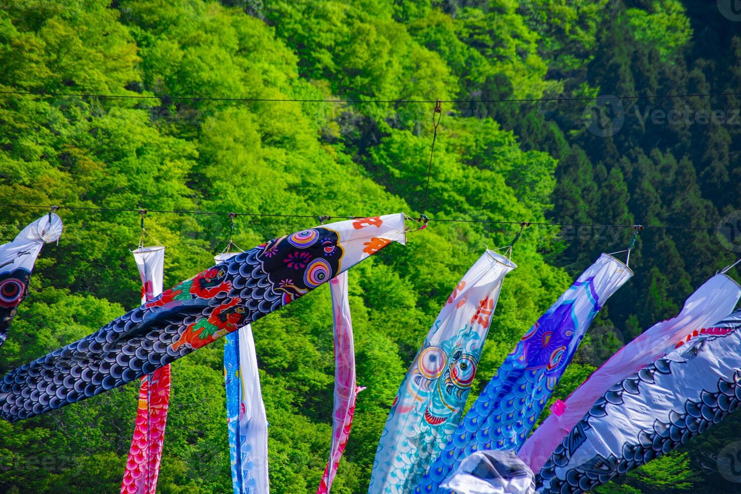 Carp streamers at Ryujin big bridge in Ibaraki daytime sunny photo