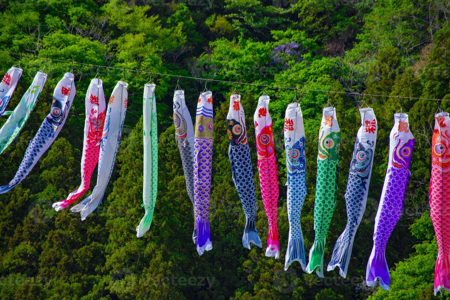 Carp streamers at Ryujin big bridge in Ibaraki daytime sunny photo
