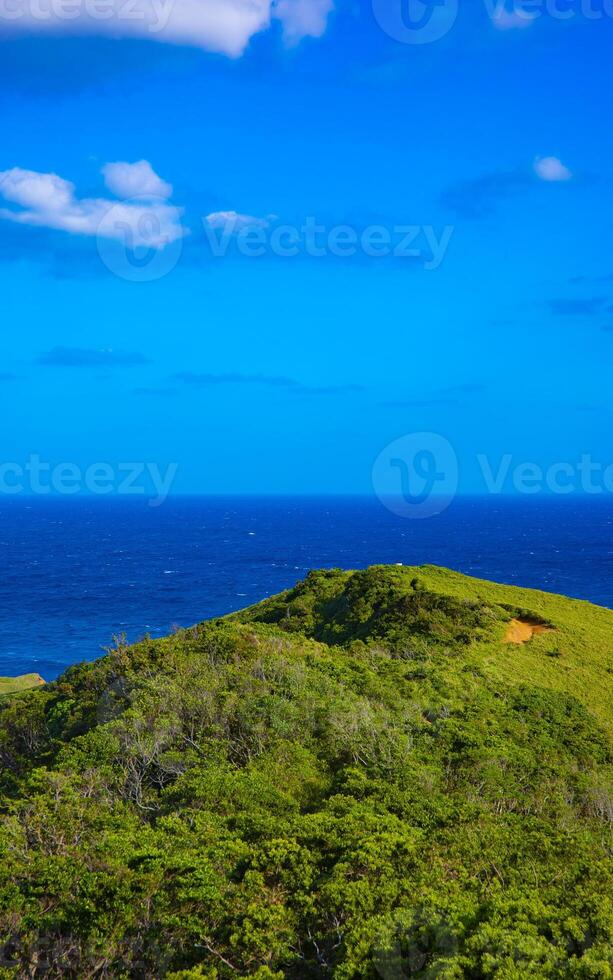 Miyakozaki promontory near the blue ocean in Amami oshima Kagoshima photo