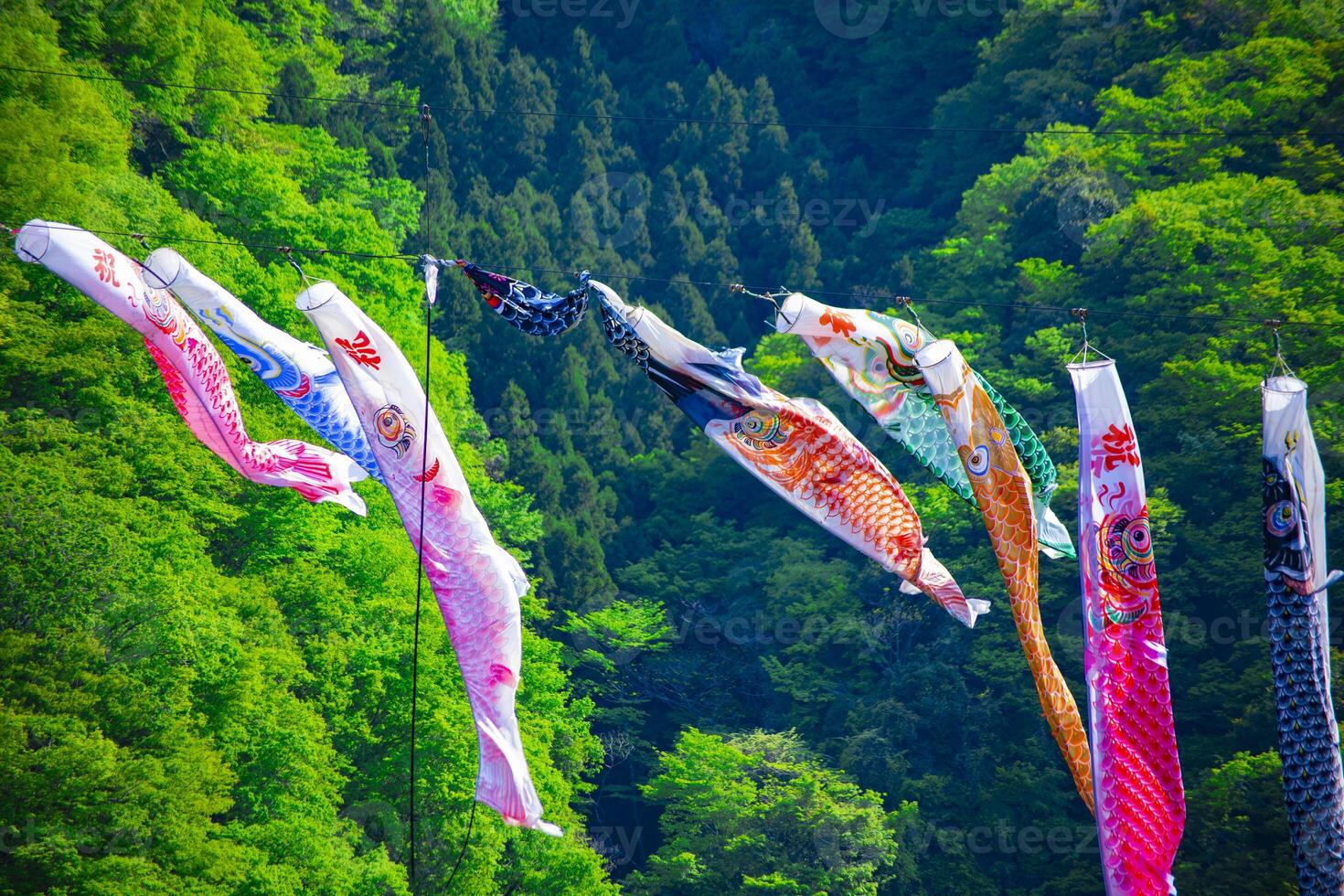 Carp streamers at Ryujin big bridge in Ibaraki daytime sunny photo