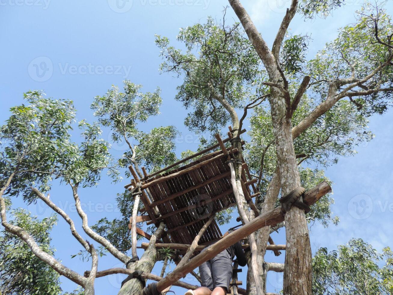 a man climbing up a tree house with a ladder photo
