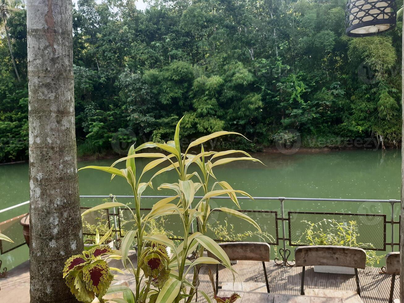 a view of the river from a balcony. photo