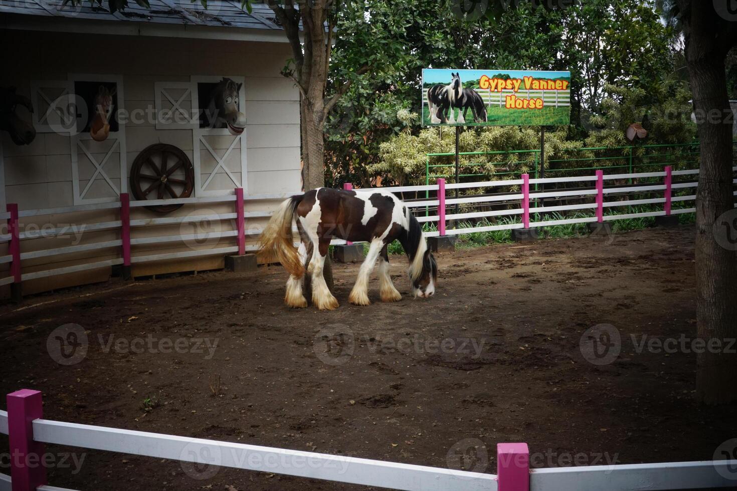 a horse standing in a pen with a fence photo