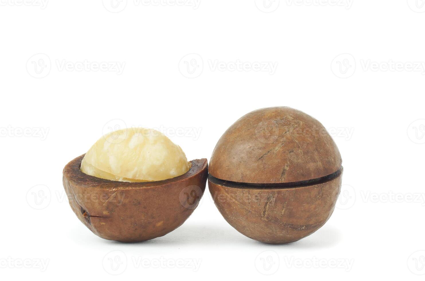 macadamia nuts on white photo