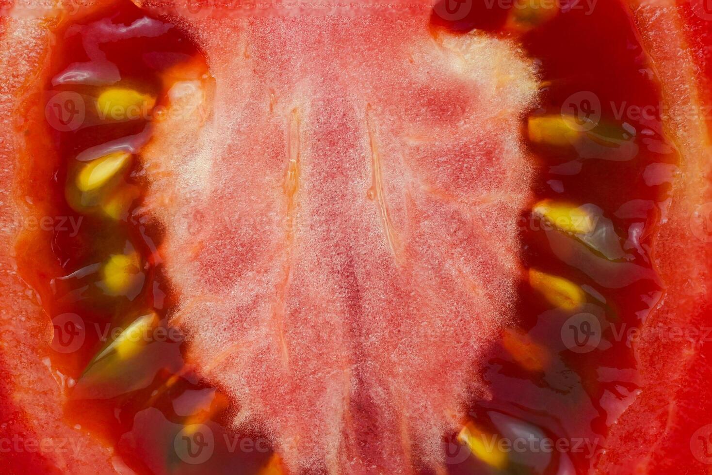 Juicy red tomato slice flesh seeds and textures. Close-up on the inner side of a slice of fresh tomato, pulp structure. photo