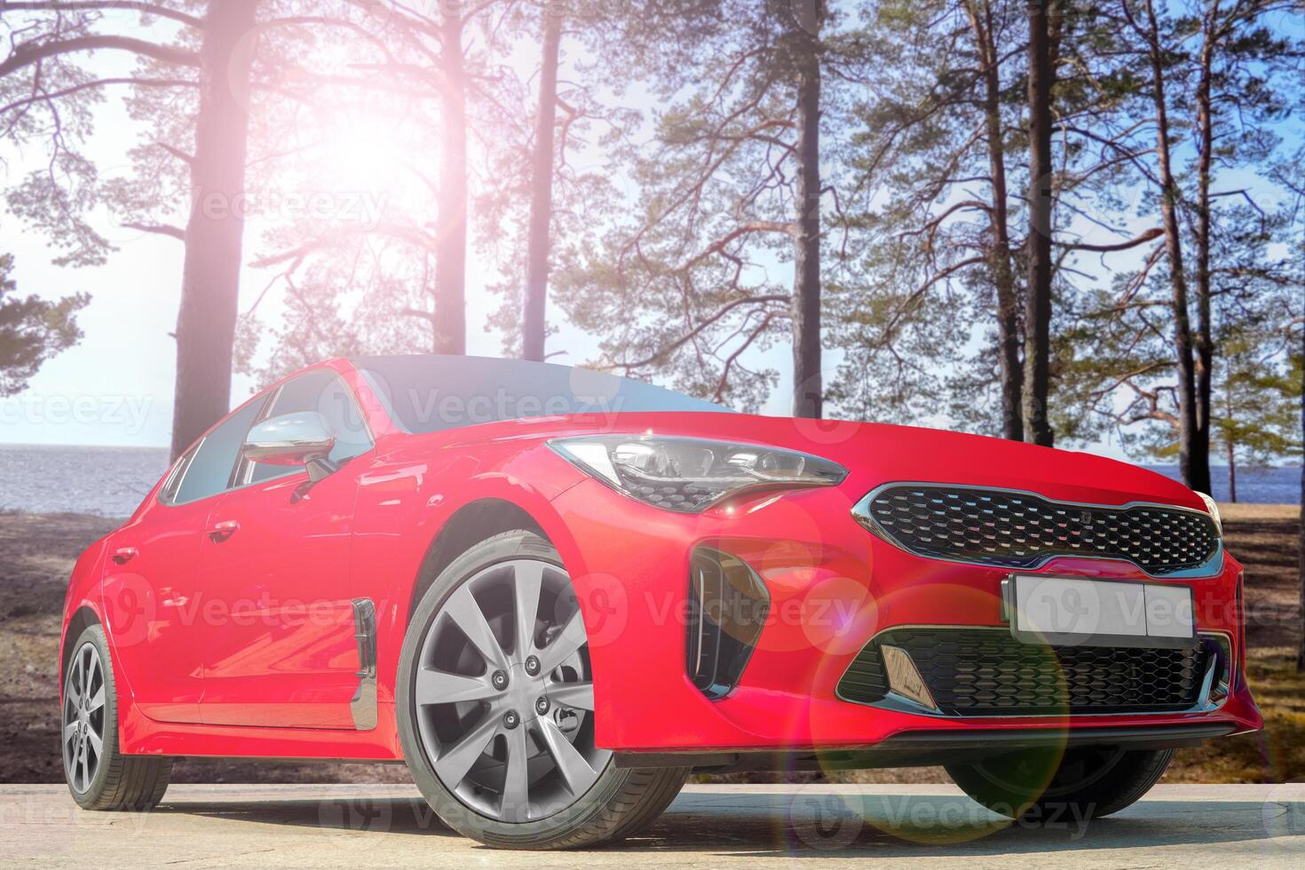 Red car against the background of pine trees. photo