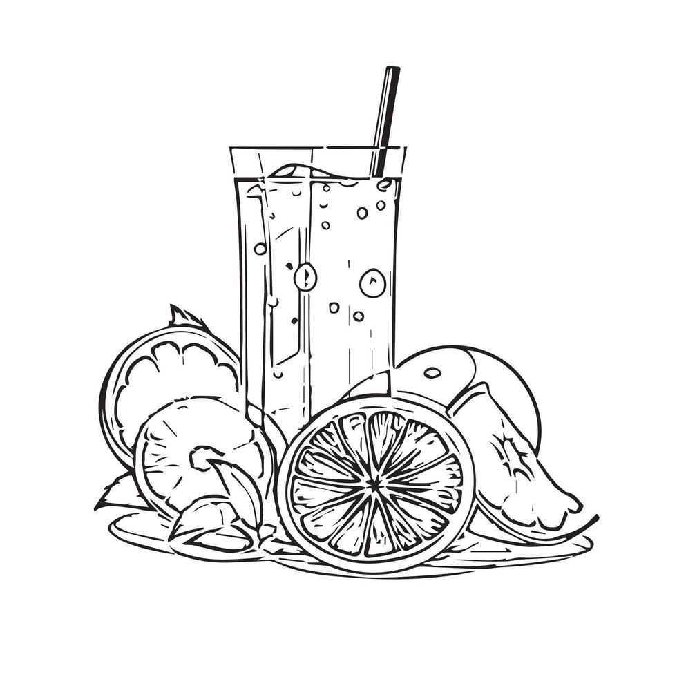 drink citrus freshness natural fresh vector
