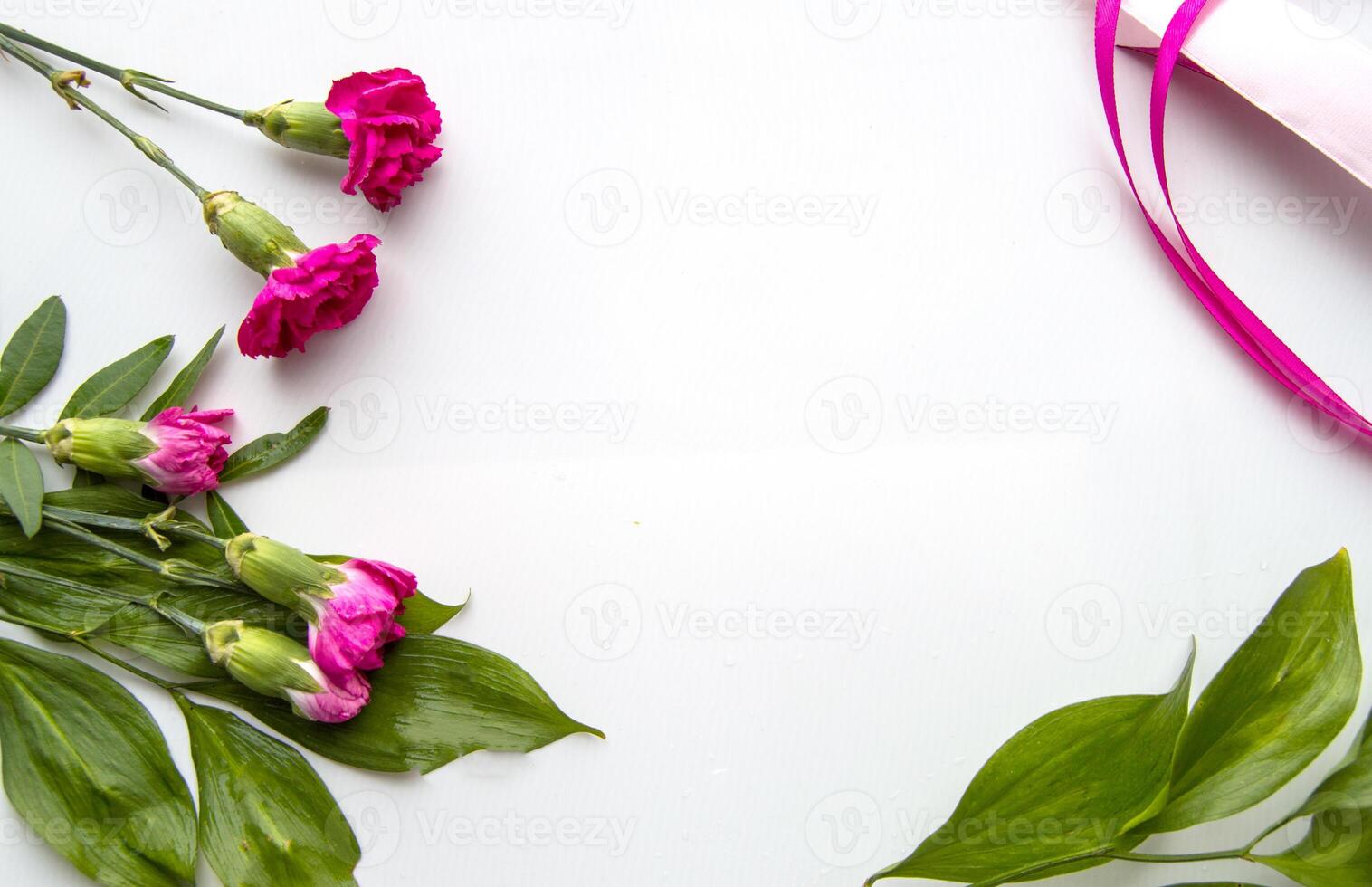 Pink carnations and green leaves on a white surface photo