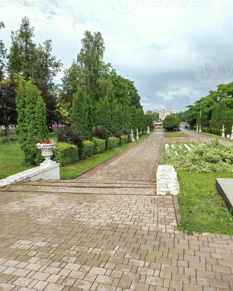 A park with a brick walkway and a bench photo