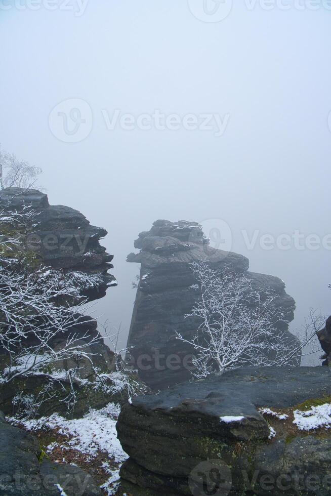 Rock formation on the Grosser Zschirnstein, in snowfall with a tree in the fog photo