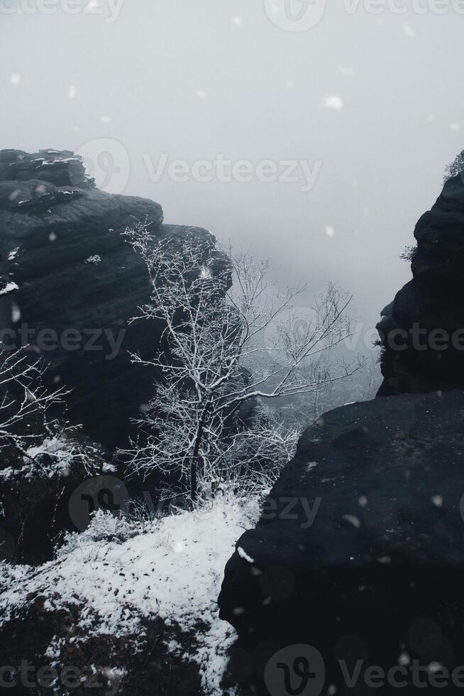 Rock formation on the Grosser Zschirnstein, in snowfall photo