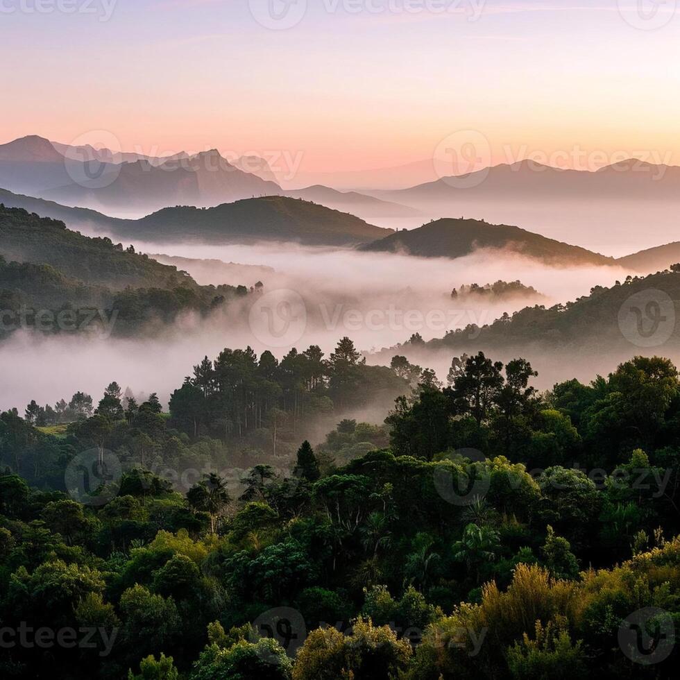 a view of the mountains and trees at sunrise with fog photo