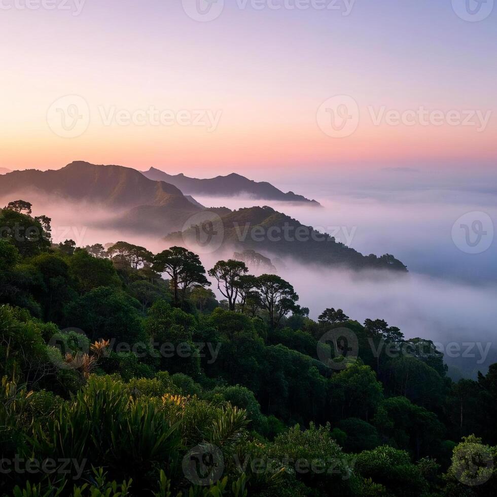 a view of the mountains and trees at sunrise fogy photo