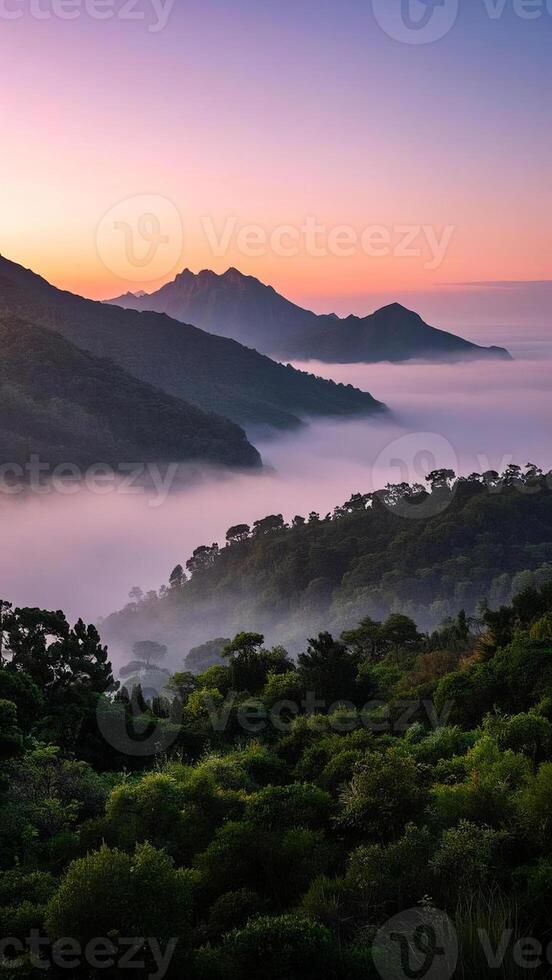 the view of the mountains and fog at sunrise photo