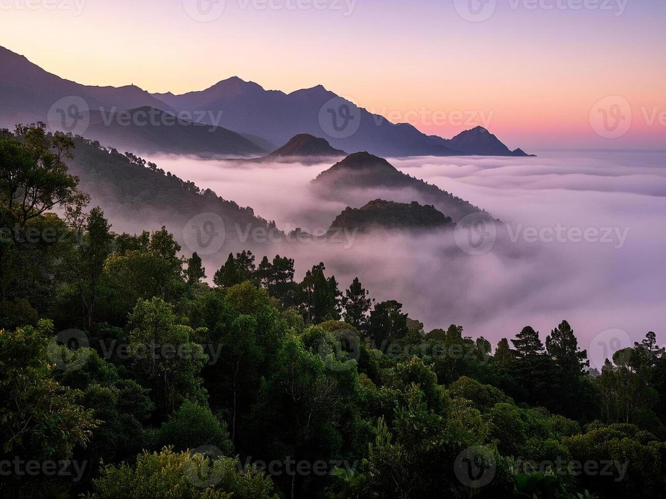 a view of the mountains and trees with low clouds photo