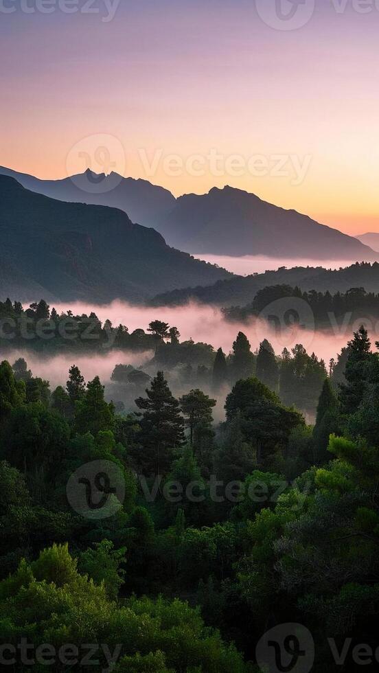 sunrise over the mountains and trees in the mist photo