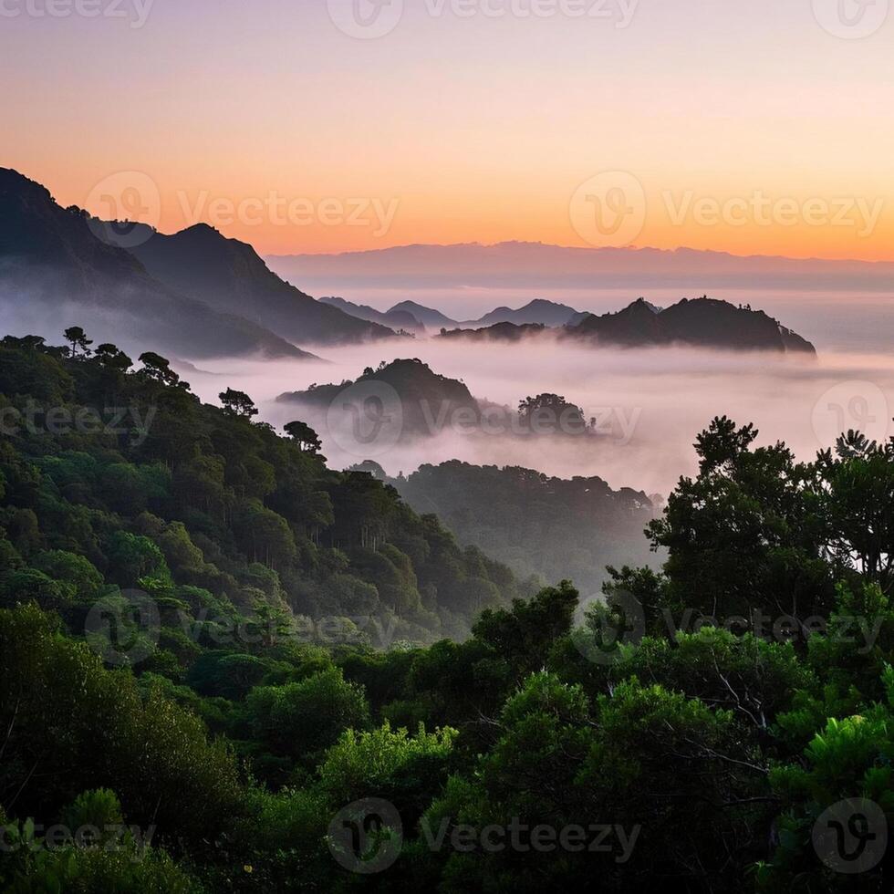 a view of foggy mountains and trees at sunset photo