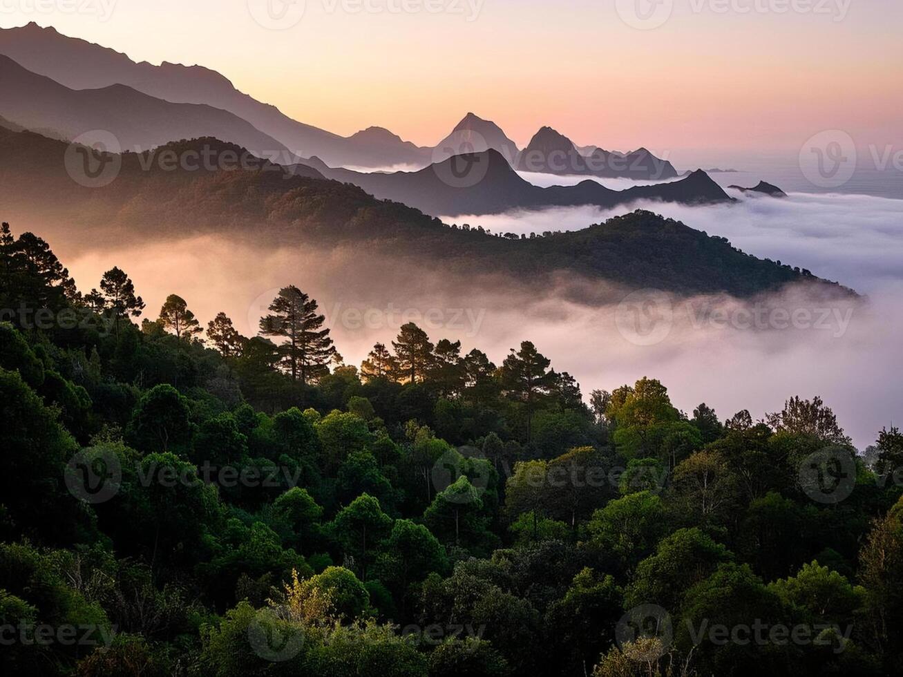 the mountains and trees at sunrise with many view photo