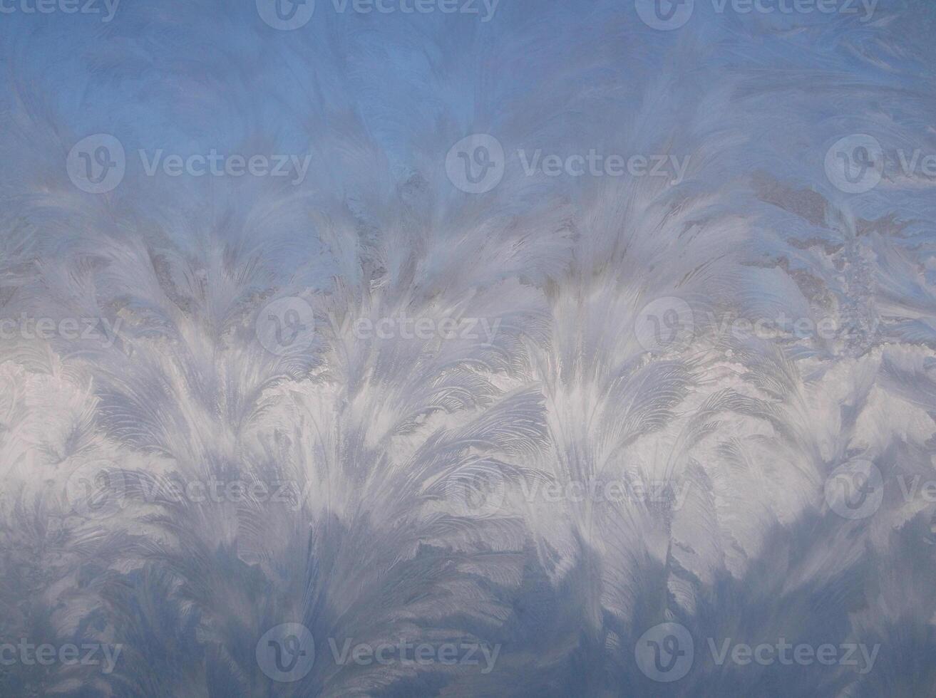frost on the window photo