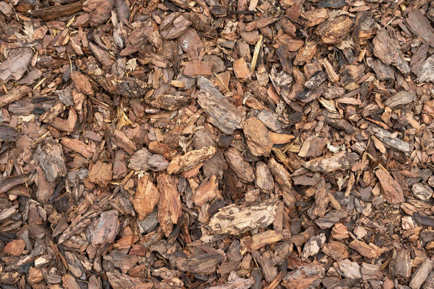 Pine Bark Mulch. A pile of wood chips to be used as landscaping mulch photo