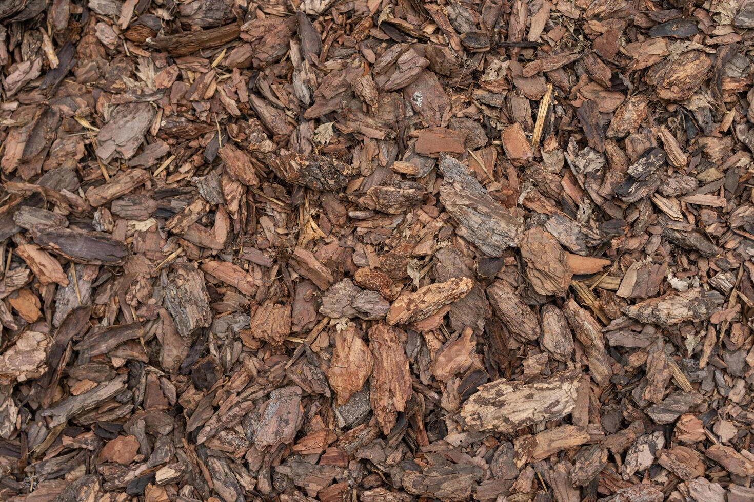 Pine Bark Mulch. A pile of wood chips to be used as landscaping mulch photo