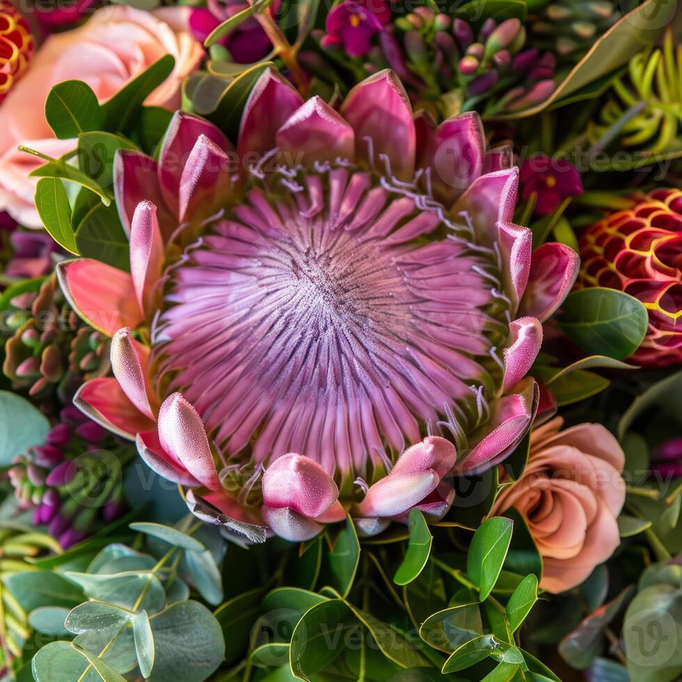 A stunning close-up captures the intricate details of a large king protea blossom, nestled among lush foliage and blooming flowers photo