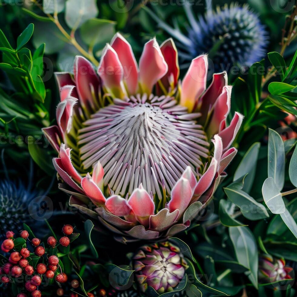 A breathtaking bouquet captivates the eye with its prominent king protea, surrounded by rich foliage and unique blue thistle accents. The colors burst forth, inviting admiration photo