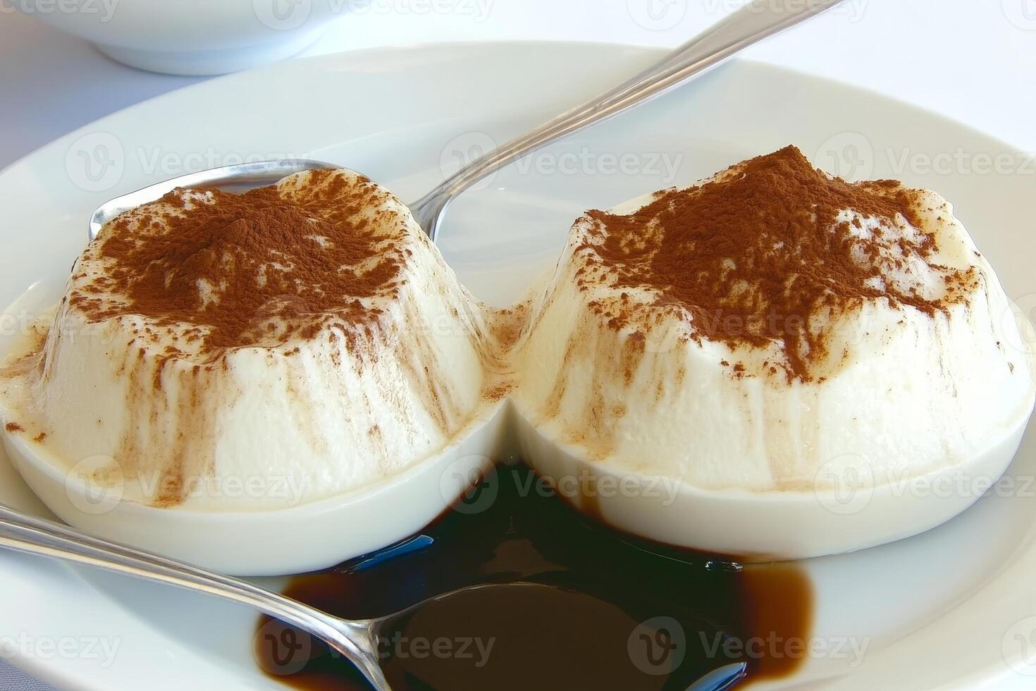 Silky, smooth Bavarian cream sits elegantly on a plate, topped with velvety chocolate sauce and a dusting of cocoa. Perfectly served for a sweet ending to any meal photo