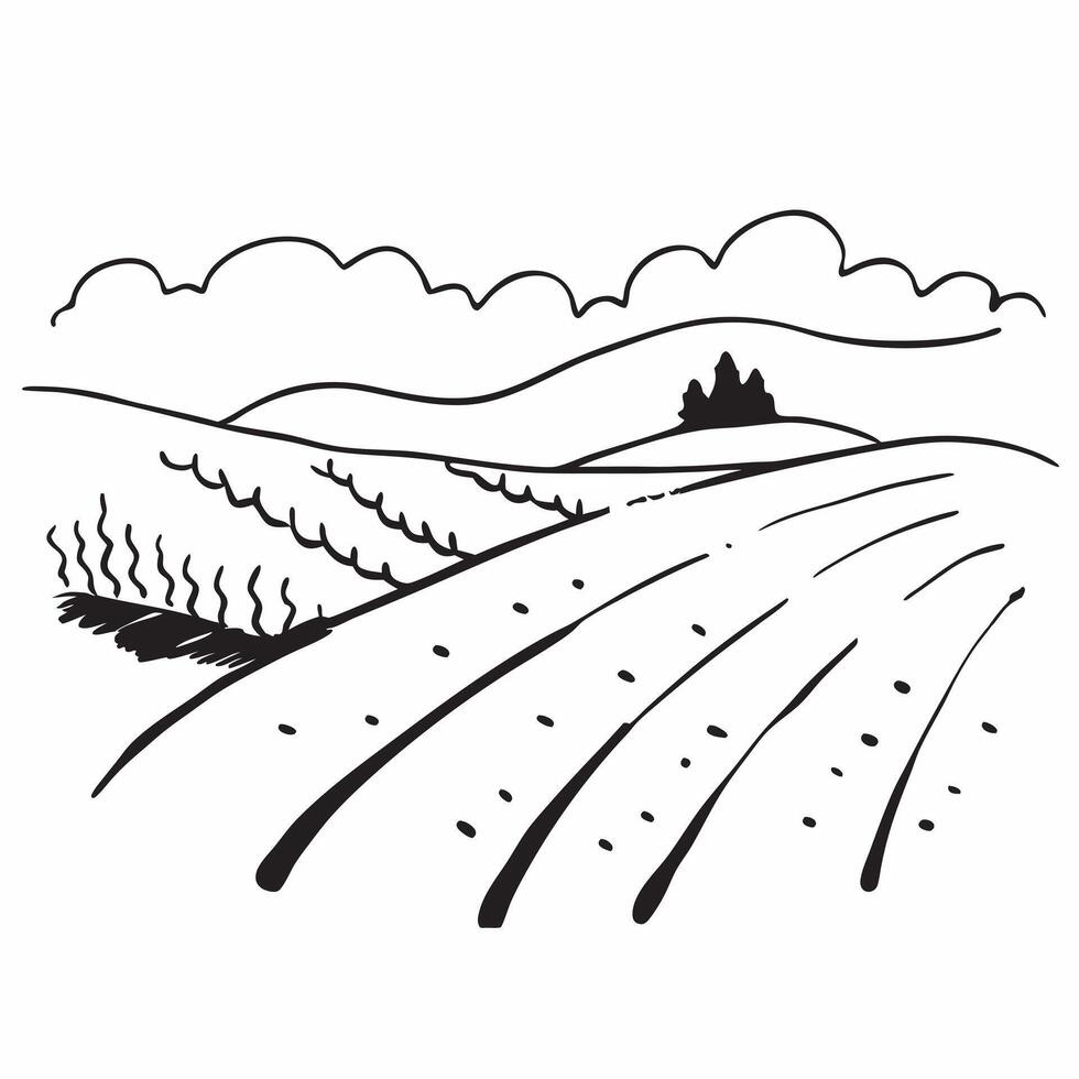 Scenic vineyard with rows of grapevines and clear skies concept as A scenic vineyard with rows of grapevines and clear skies with ample copyspace for text capturing the lush and tr Clear vector