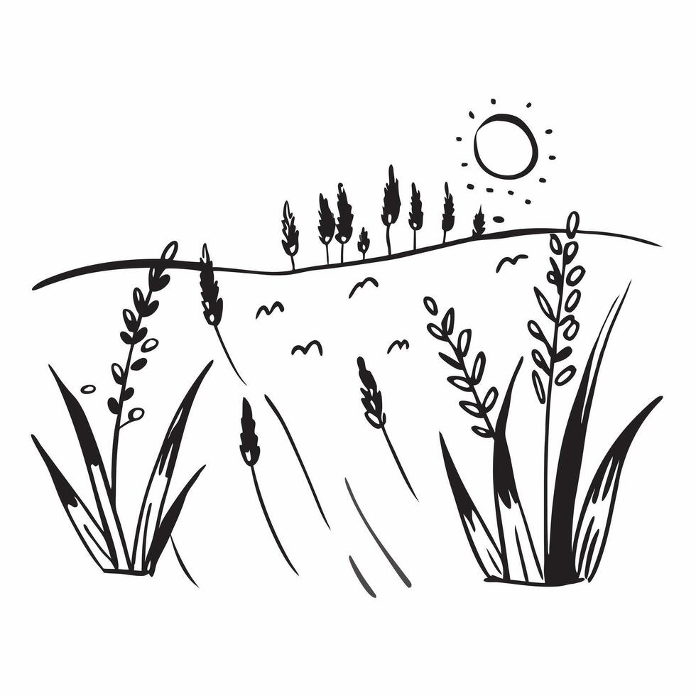 Fields of wildflowers in full bloom under a sunny sky concept as Fields of wildflowers in full bloom under a sunny sky with ample copyspace for text capturing the vibrant and color Clear vector