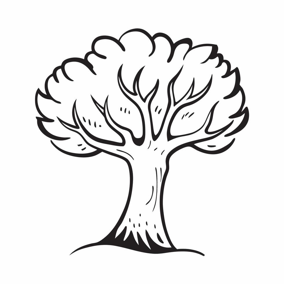 Walnut tree isolated on white background concept as A robust walnut tree isolated on a white background highlighting its compound leaves and green walnut fruits ideal for culinary v1 vector