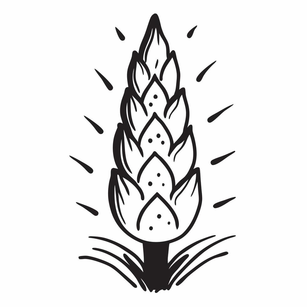 Spruce tree isolated on white background concept as A classic spruce tree isolated on a white background featuring its dense needle like leaves and symmetrical shape perfect for ho Clean Version 2 vector
