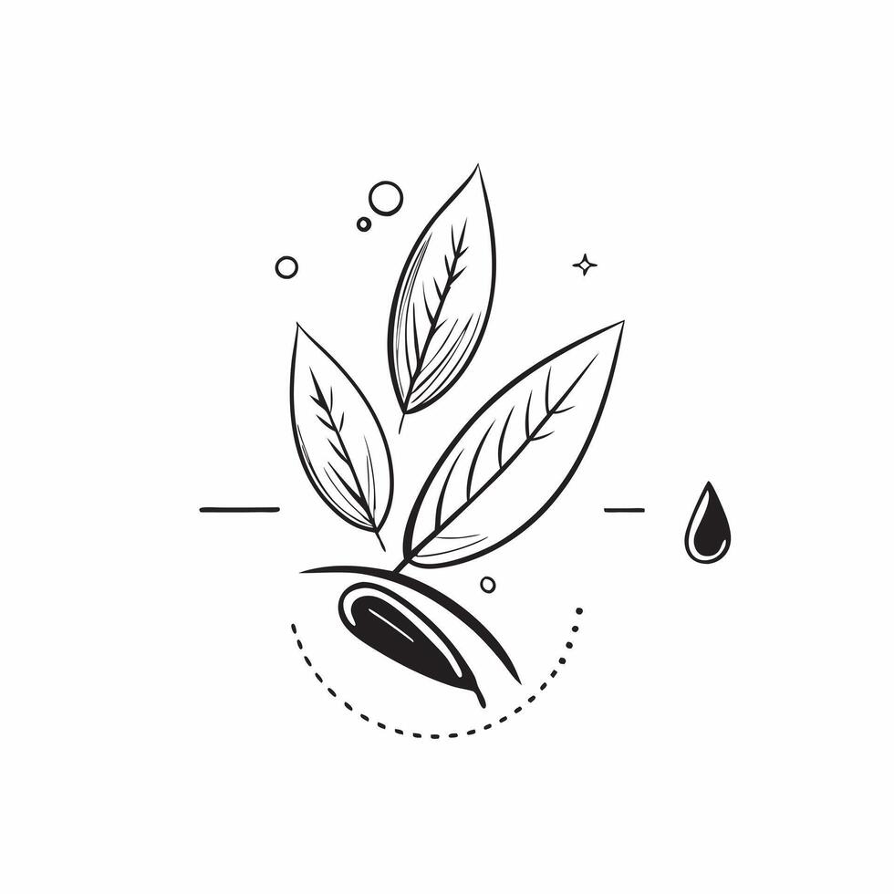 Olive leaf with morning dew isolated on white background concept as A sleek olive leaf with morning dew isolated on a white background highlighting its narrow lance shaped structur v1 vector