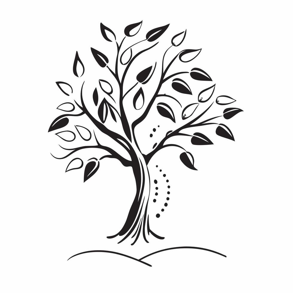 Olive tree isolated on white background concept as A picturesque olive tree isolated on a white background featuring its gnarled trunk and silvery green leaves ideal for Mediterran v1 vector