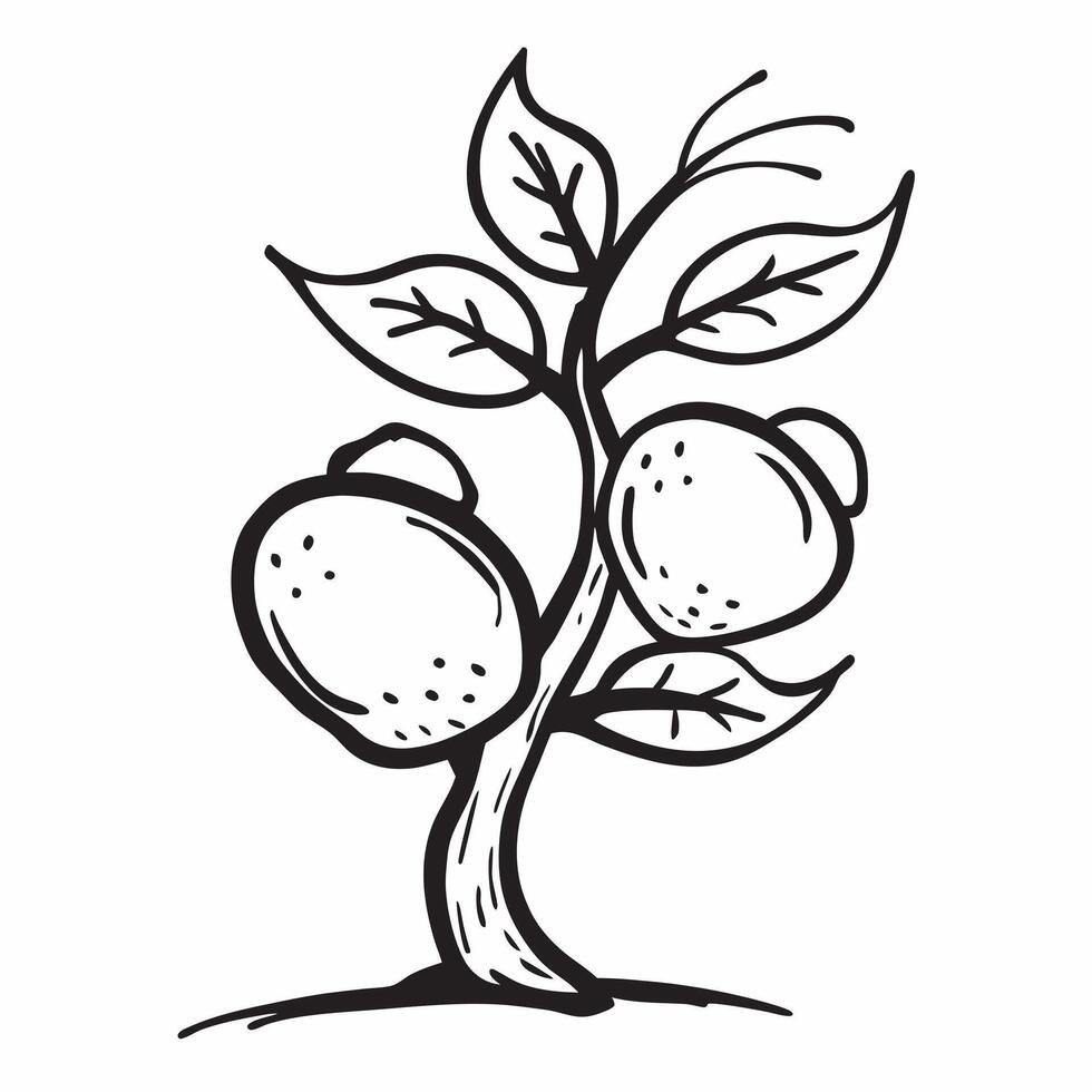 Lemon tree isolated on white background concept as A vibrant lemon tree isolated on a white background highlighting its green leaves and bright yellow lemons ideal for culinary gar v1 vector