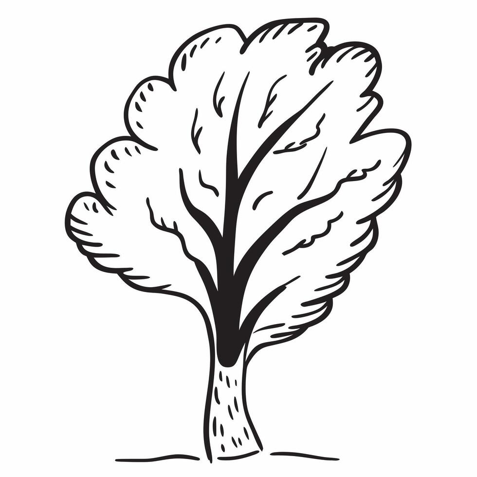 Jacaranda tree isolated on white background concept as A stunning jacaranda tree isolated on a white background featuring its vibrant purple flowers and delicate leaves ideal for s v1 vector