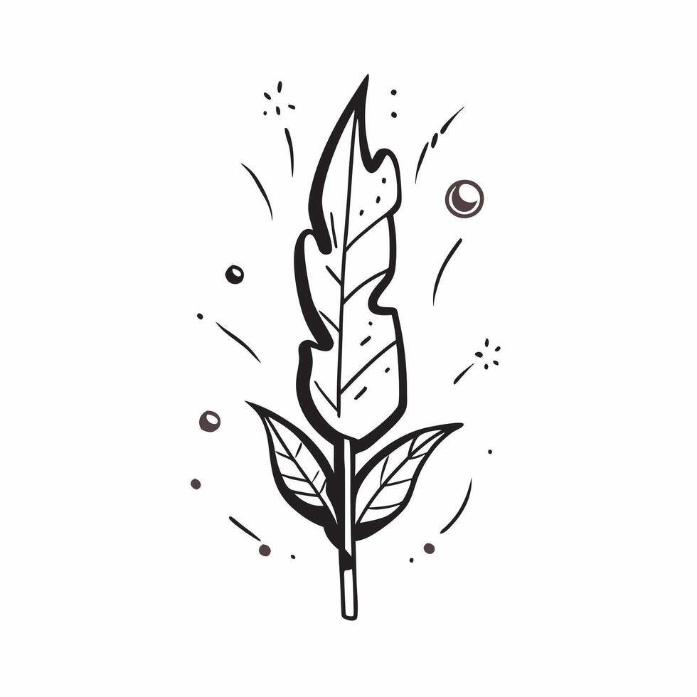 Eucalyptus leaf isolated on white background concept as A refreshing eucalyptus leaf isolated on a white background featuring its long lance shaped structure and aromatic qualities Clean Version 2 vector