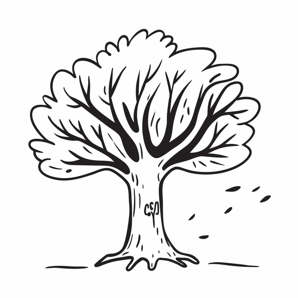 Ash tree isolated on white background concept as A majestic ash tree isolated on a white background featuring its compound leaves and sturdy trunk perfect for urban park or educati Clean Version 2 vector