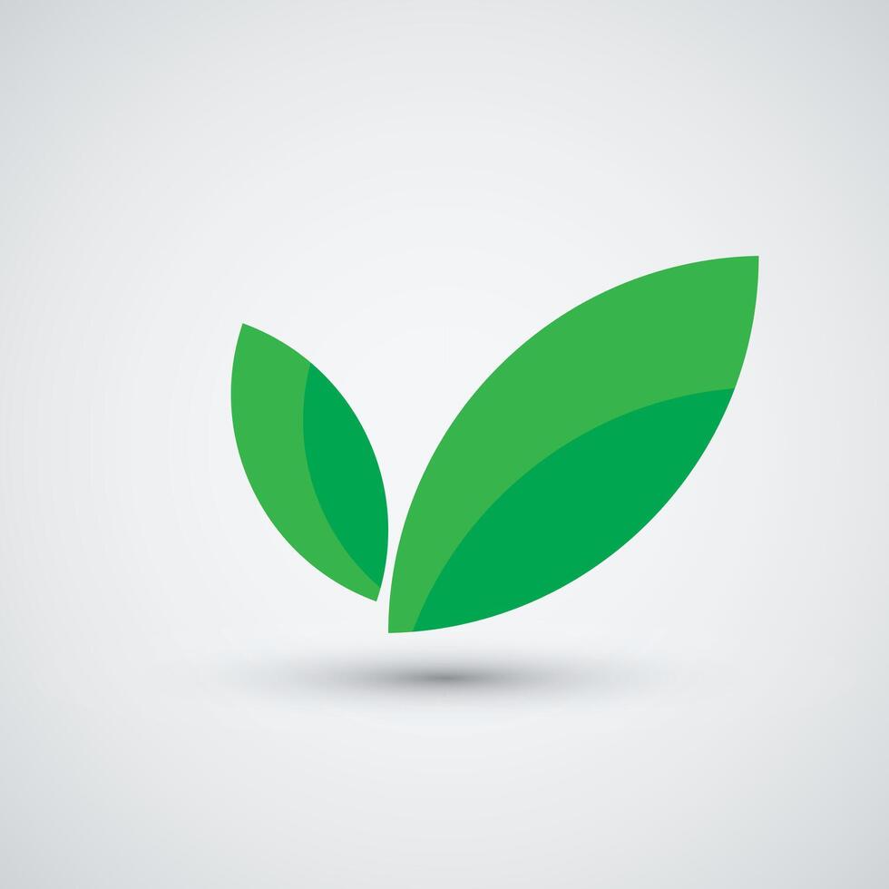Leaf logo icon flat design template vector