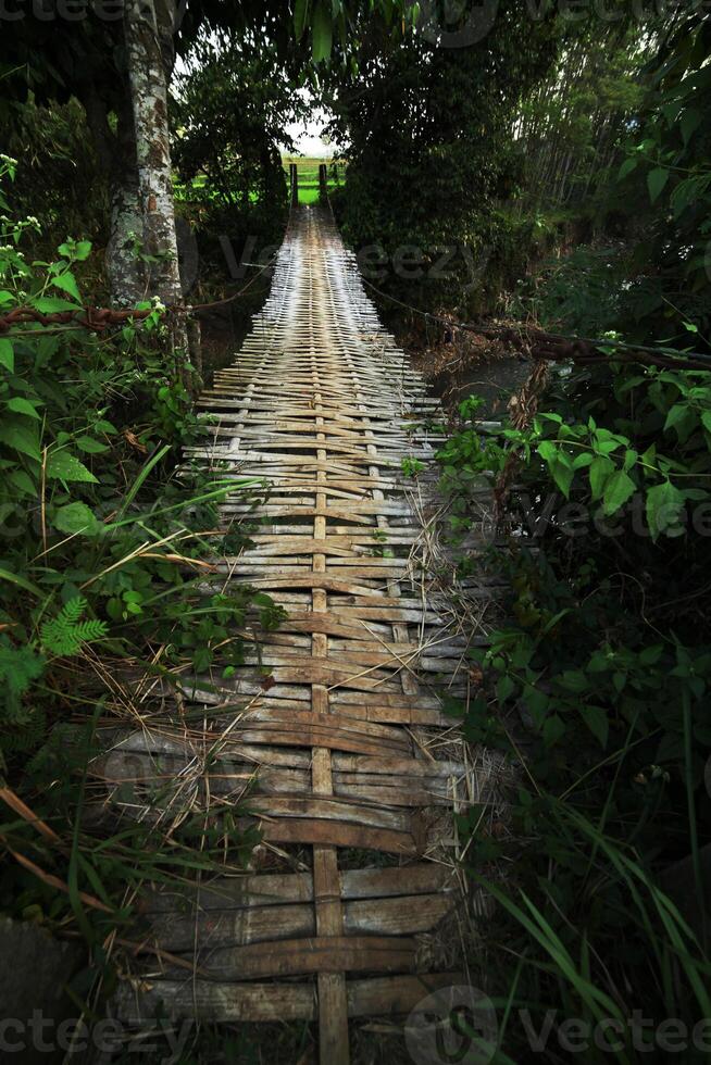 The bridge traditional in the forest photo