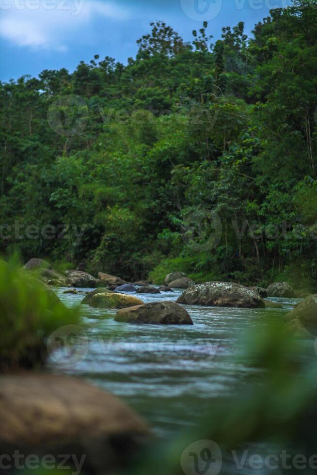 River in the middle of the forest with large stones photo