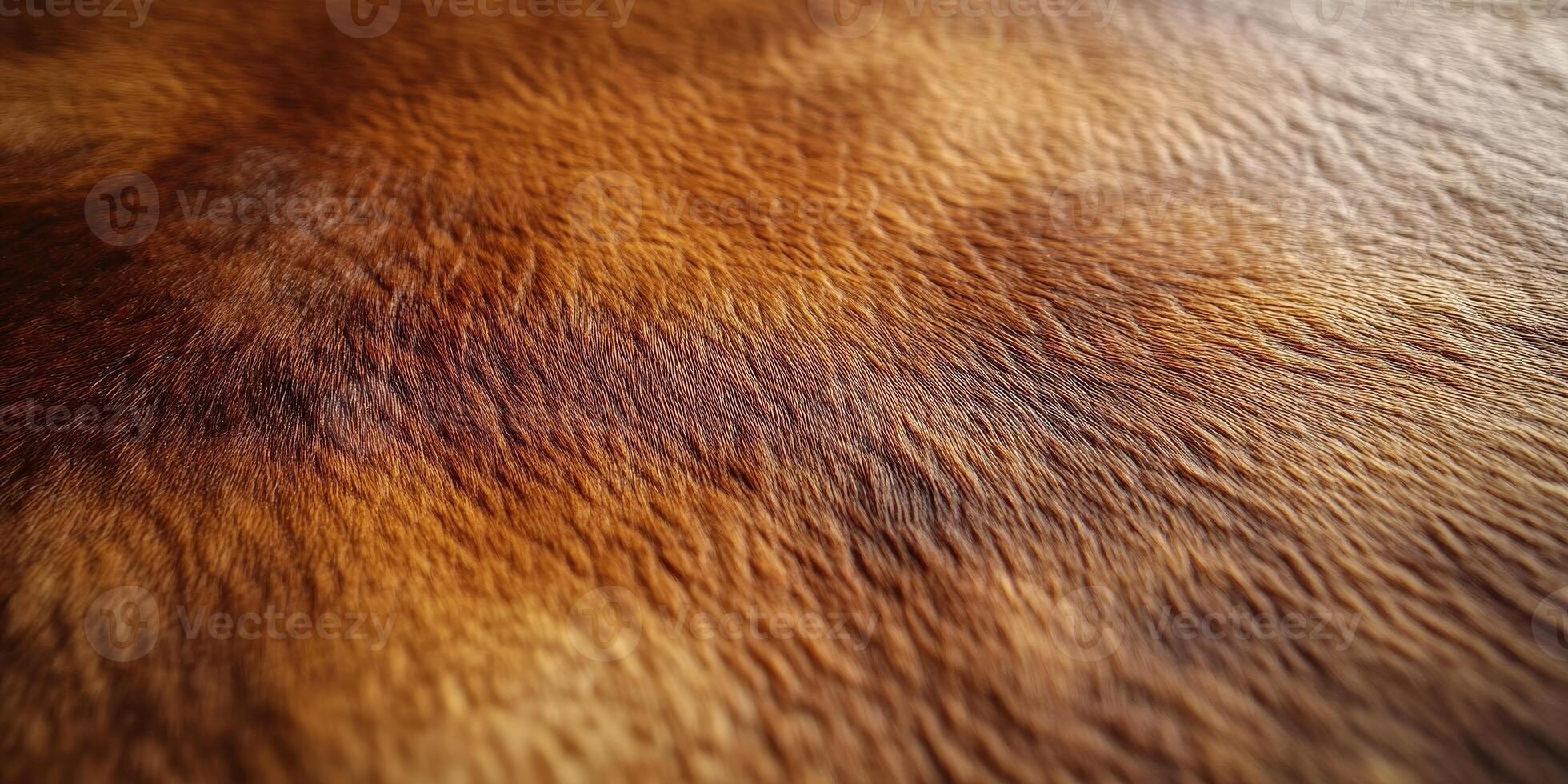 Close-up view of a textured animal fur, showcasing rich colors and fine details that evoke a sense of warmth. photo