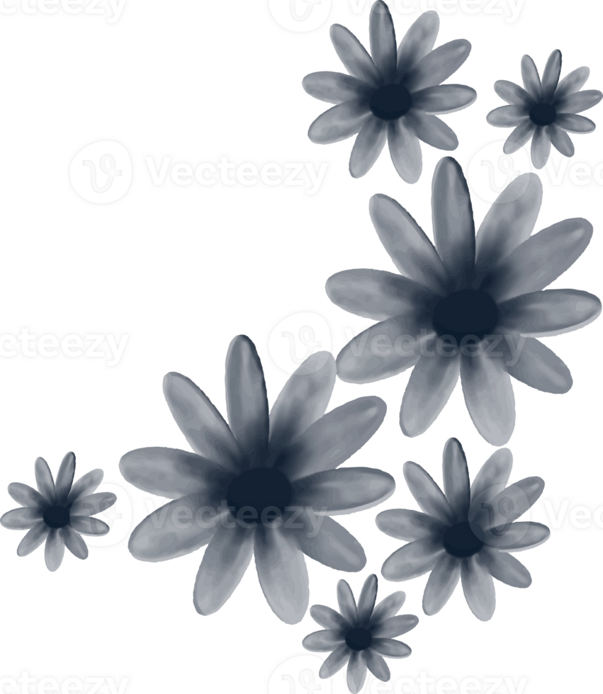 black and white flowers on a transparent background png